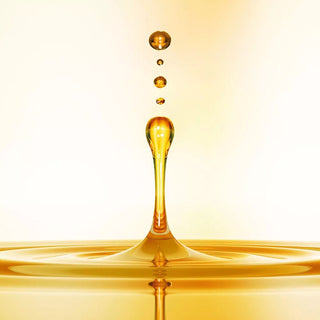 Orofluido™ Original Elixir 100ml