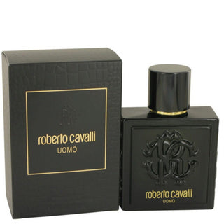 Roberto Cavalli Uomo EDT 100 ML