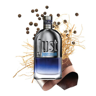 Roberto Cavalli Just Cavalli for Him EDT 90 ML