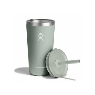 Hydro Flask 20 Oz All Around Tumbler Straw Lid Lupine