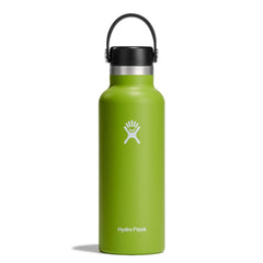 Hydro Flask 18 Oz Standard Mouth - Seagrass
