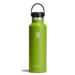 Hydro Flask 21 Oz Standard Mouth - Seagrass