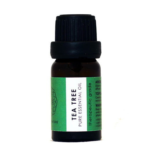 Aura Crafts Tea Tree Essential Oil