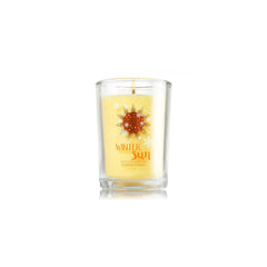 Bath and Body Works Winter Sun - Medium Candle - Shopaholic