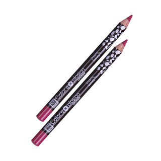 DMGM Color Explosion Lipliner - 02 Flushed Rose
