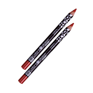 DMGM Color Explosion Lipliner - 19 Delicious Praline