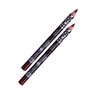 DMGM Color Explosion Lipliner - 20 Fresh Chicory