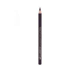 Gabrini Waterproof Lip & Eye Pencil - 31