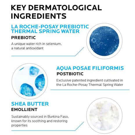 LA Roche Posay Lipikar Wash AP+ Moisturizing Body & Face Wash - 400ml - Shopaholic