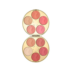 Tarte Limited Edition Color Wheel Amazonian Clay Blush Palette